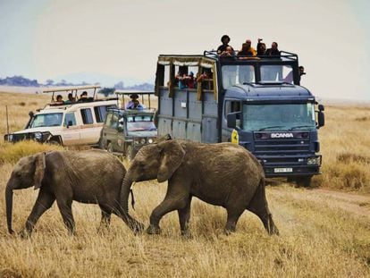 Tres safaris de lujo para despedir el año en África