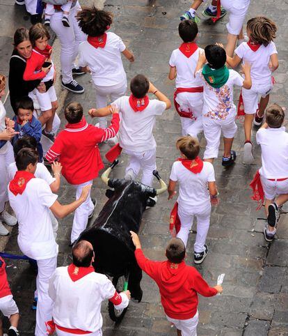 Niños corren al lado de los toros del 'encierro txiki'. Deben mantenerse cerca y no caerse.