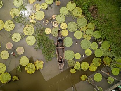 Navegando por la Reserva Flor de Loto, en la Amazonía colombiana.