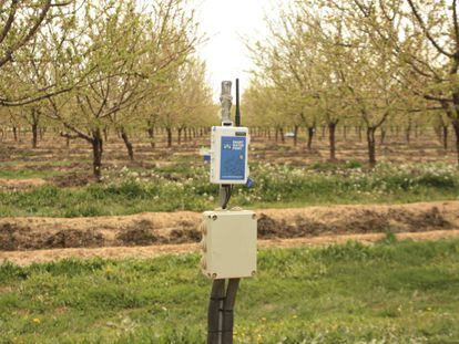 Uno de los sensores utilizados en la plantaci&oacute;n de Men&agrave;rguens (Lleida)