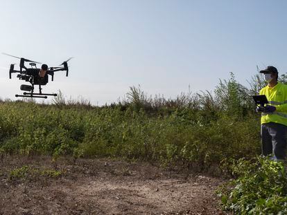 Un técnico vuela un dron para fumigar contra el mosquito en la localidad sevillana de Coria del Río.
