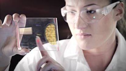 Una científica analiza la estructura del ADN.