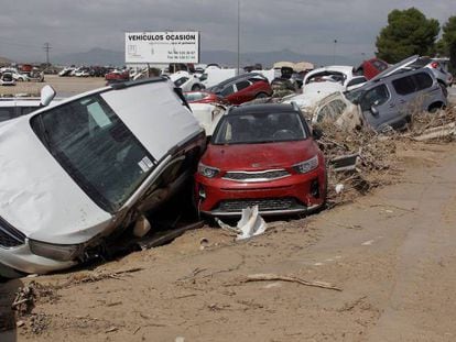 Decenas de coches arrasados por el desbordamiento del río Segura cerca de Orihuela. En vídeo, la dana deja miles de damnificados en la región de Murcia.