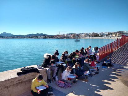 Alumnos de quinto y sexto de primaria del colegio Port de Xàbia, en una clase de Ciencias Naturales, en enero.