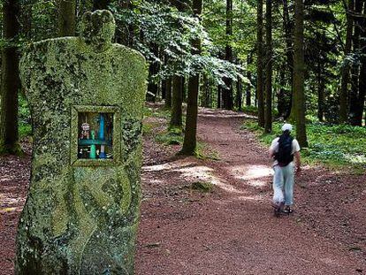 El alerce que puebla los bosques de Millevaches es la base de Ambience Bois, cooperativa autogestionada que hace casas a medida y encarna el sue&ntilde;o socialista. 