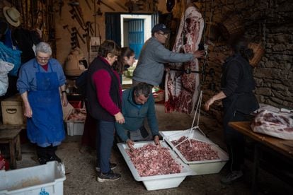 Vecinos del pueblo hacen la tradicional matanza del cerdo en un garaje.