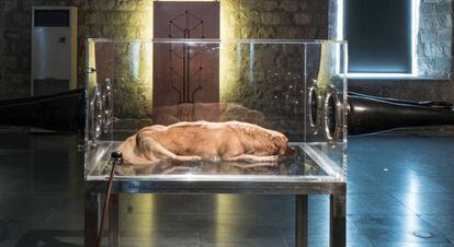 'San Guinefort', una de las obras de Hernández-Díez que pueden verse en el Macba.