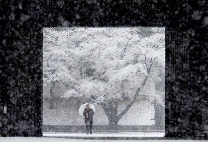 Un hombre se protege de la nieve en el Palacio Imperial de Tokio (Japón), el 23 de enero de 2018. 
