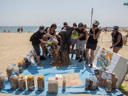 Recogida de colillas como protesta en una playa de Barcelona, en 2019.