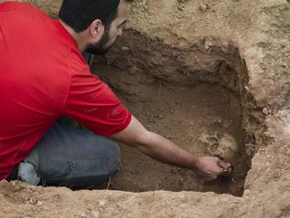 El arque&oacute;logo Ren&eacute; Pacheco descubre un cr&aacute;neo en la fosa com&uacute;n del cementerio de Guadalajara.