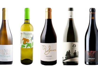 Seis vinos de Tenerife bajo el volcán