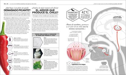 Interior de 'Cocinología', del Dr. Stuart Farrimond (DK Editorial).