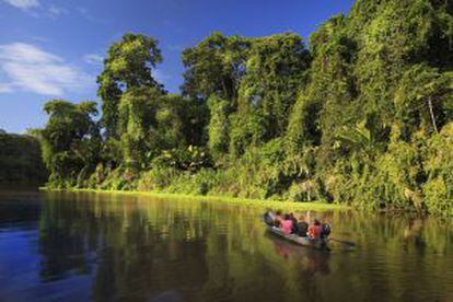 Una barca de turistas recorre uno de los canales del parque natural de Tortuguero, en Costa Rica.