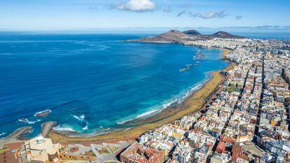 Un ‘networking’ para descubrir por qué las empresas escogen Canarias