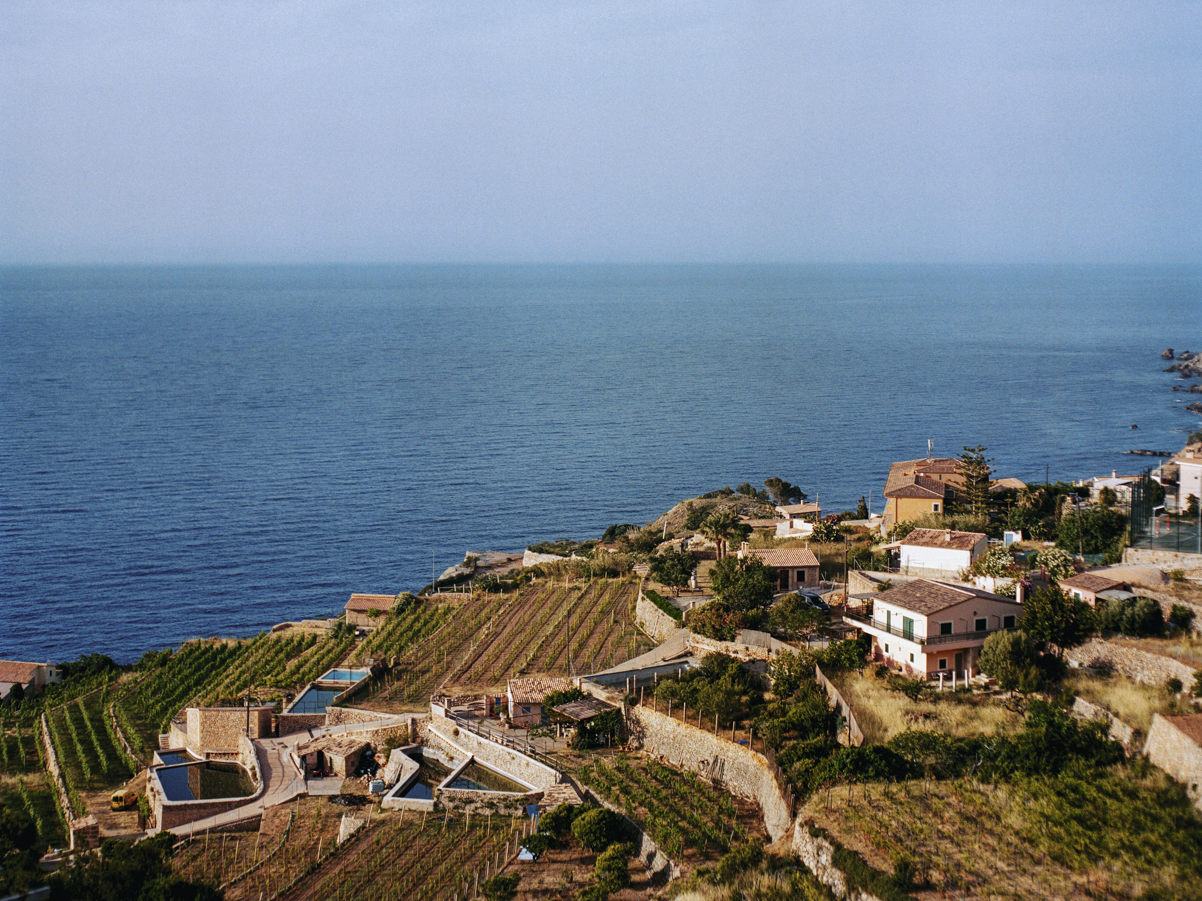 Mallorca, el nuevo paraíso para los amantes del buen vino