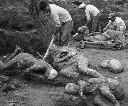 Unos arqueólogos extraen los cuerpos momificados de dos adultos y tres niños tras la erupción. / EL PAÍS