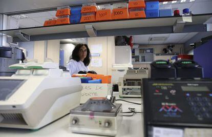 La investigadora del Centro Nacional de Microbiología del Instituto de Salud Carlos III de Majadahonda, Paz Sánchez-Seco