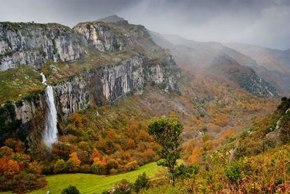 Por la cuenca alta del río Asón (en la imagen, el salto del río Asón) se reparten cerca de 4.000 grutas. Desde enormes complejos cavernícolas como el sistema de Gándara, con más de 100 kilómetros de galerías, a cuevas con huella humana como la de Covalanas, junto a Ramales. Esta cuenta con una importante colección de pinturas rupestres, descubiertas en 1903, de las que destacan 18 figuras de ciervas pintadas de rojo datadas en unos 20.000 años de antigüedad. La visita guiada se lleva a cabo con linternas, lo que la hace aún más interesante.