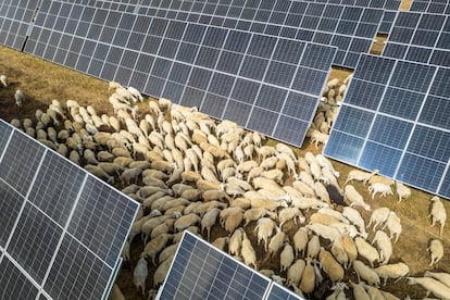 Statkraft, empresa internacional de generación hidroeléctrica y la mayor productora de energía renovable de Europa, opera cuatro nuevas plantas solares que ha construido en la provincia de Cádiz.