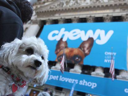 Debut en la Bolsa de Nueva York de Chewy, firma dedicada al comercio electrónico de alimentos y productos para mascotas.
