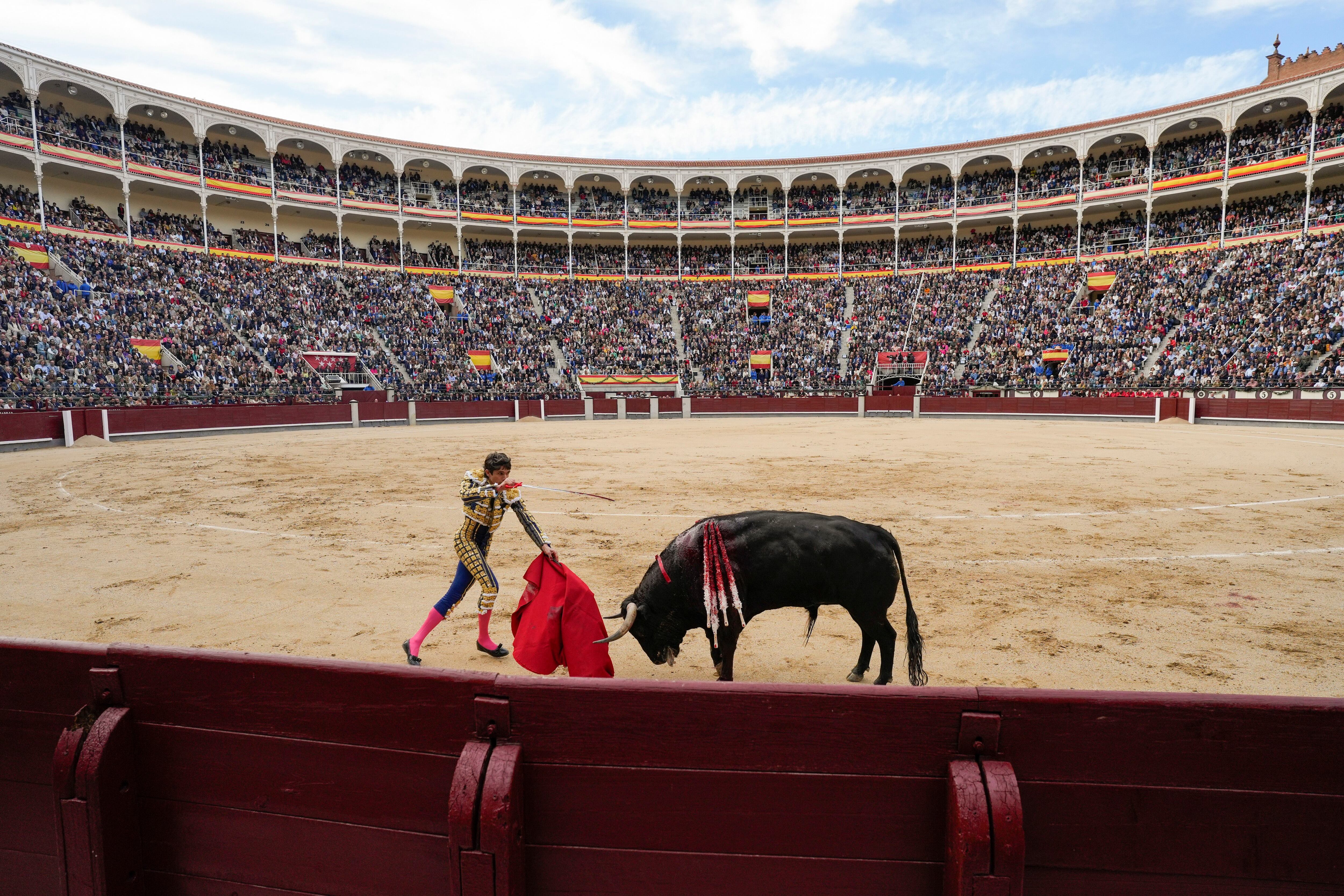 La tauromaquia se crece en el castigo de los políticos