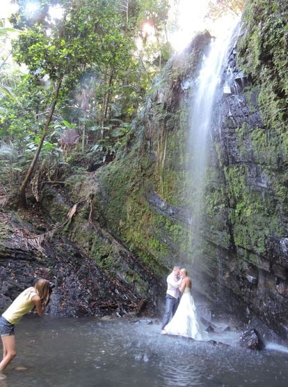 En el parque natural de El Yunque, bambús, helechos y otros 23 árboles endémicos crecen entre piedras ígneas y bellas cascadas. Puede bañarse en ellas o, como esta pareja de novios, tomarse una foto bajo la caída de agua.