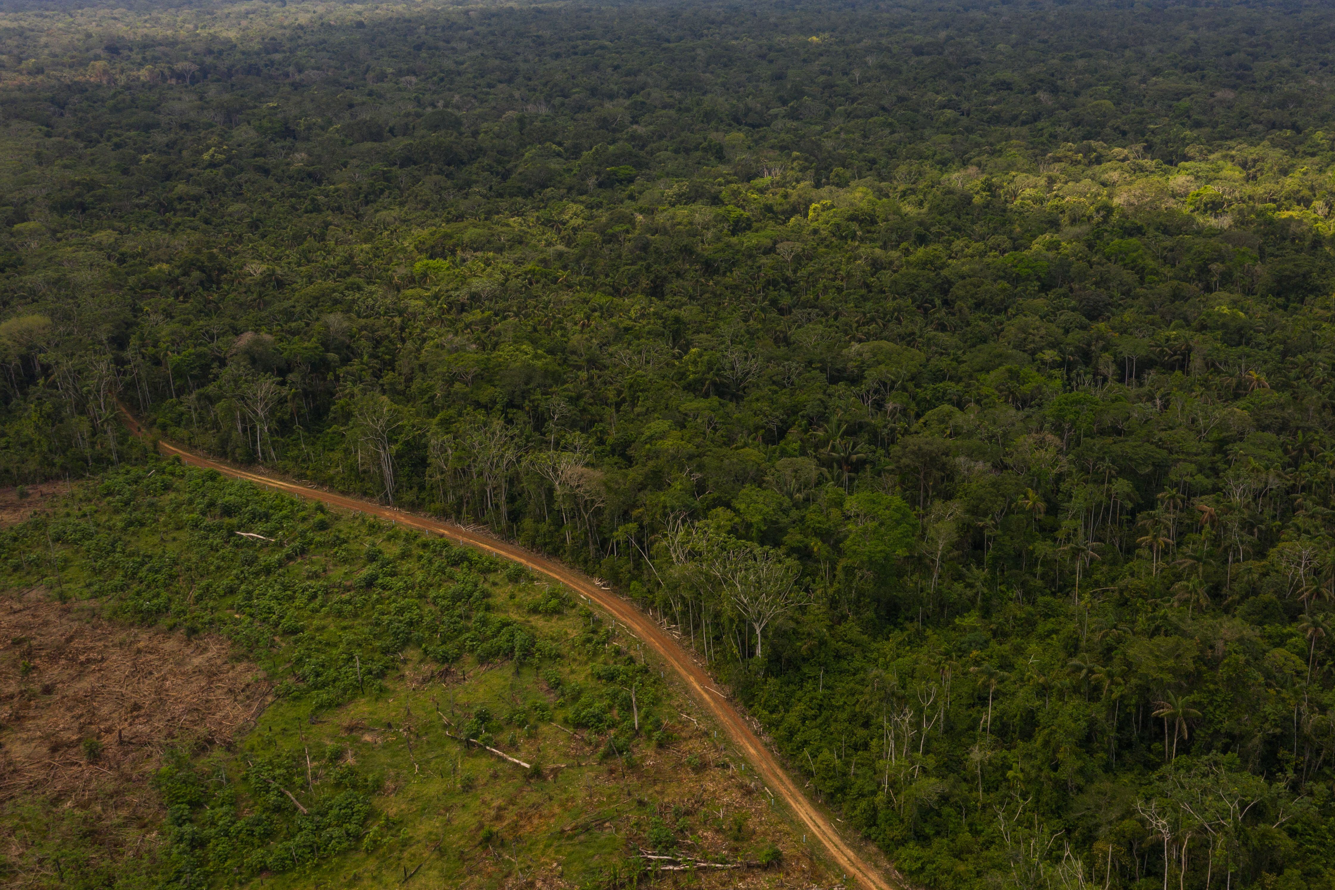 Una carretera pasa junto a un área deforestada del Parque Nacinoal Natural de Chiribiquete, en marzo de 2022.