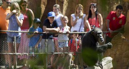 El zool&oacute;gico Bioparc, en Fuengirola.