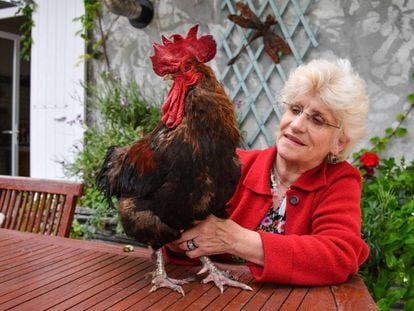 Corinne Fesseau con el gallo Maurice en el jardín de su casa de Saint-Pierre-d'Oleron, este miércoles.