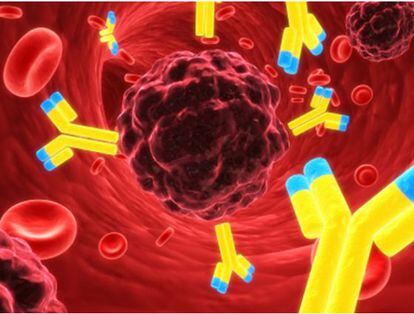 Recreación de la inflamación propia de la esclerosis múltiple
