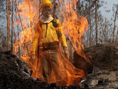 Un bombero se ve tras las llamas durante los combates de los incendios en la selva amazónica cerca de Porto Velho (Brasil).