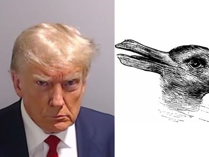 Donald Trump, en una imagen proporcionada por la prisión del condado de Fulton, en el Estado de Georgia. Y, a la derecha, la ilusión óptica del pato-conejo.