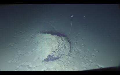 The bottom of the Atacama Trench seen from one of the 'Limited Factor' skylights