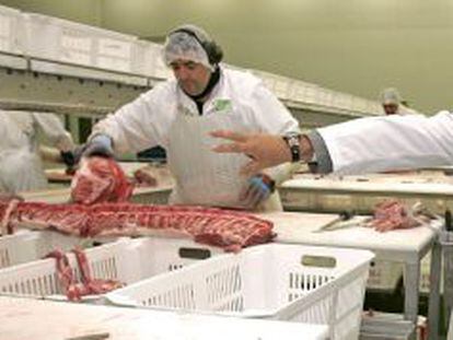 Un trabajado manipula carne en una planta de Campofr&iacute;o en Burgos. 