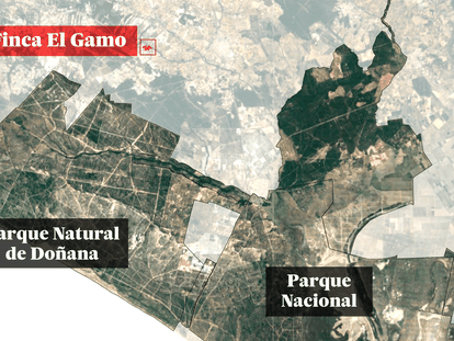 Por qué legalizar riegos en una finca agrícola a 18 kilómetros de Doñana deteriora el parque