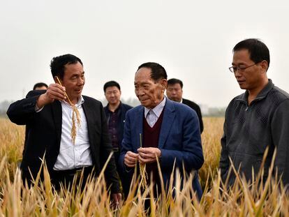 Yuan Longping, el "padre del arroz híbrido" en China, fallecido este sábado a los 90 años.