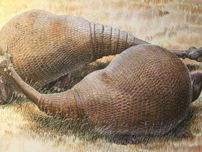 Recreación artística de dos gliptodontes, familiares de los armadillos de hasta dos toneladas. Se ha secuenciado ADN recuperado de su caparazón