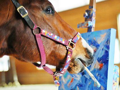 El caballo Metro con un pincel en la boca junto a uno de sus lienzos.