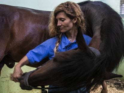 Luna Gutiérrez, veterinaria especializada en fisioterapia y rehabilitación equina.