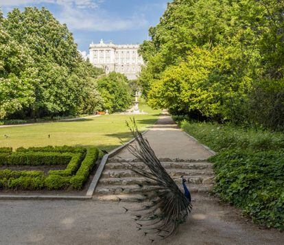 Un pavo real en los jardines del Campo del Moro, creados en el siglo XIX por orden de la Reina María Cristina, con el Palacio Real de Madrid al fondo.