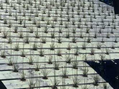 Casa Nira (1997). El tejado es un campo para el cultivo de cereales.