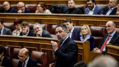 Santiago Abascal interviene este miércoles en la sesión de control al Gobierno, en el Congreso.