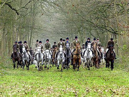 Una partida de cazadores ingleses en acción cabalgan por las cercanías de la ciudad inglesa de Badmington.