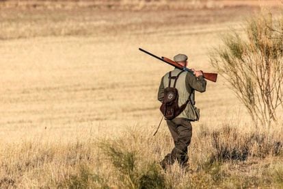 Un cazador en el campo. 