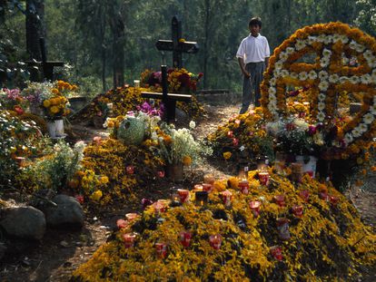 Un joven visita observa las tumbas decoradas con flores, frutas y velas para las celebraciones del Día de los Muertos, en el cementerio de Tzurumutaro, en Pátzcuaro, Estado de Michoacán.