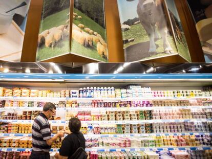 Sección de productos lácteos en un hipermercado (ÓSCAR CORRAL). En vídeo, entrevista con Pilar Matía, endocrinóloga y nutricionista del Hospital Clínico San Carlos.