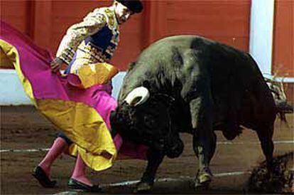 Francisco Ruiz Miguel, en el primer toro de la tarde.