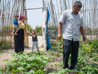 La familia siria Husso, en el pequeño cultivo que tienen junto a la tienda en la que viven, en la localidad turca de Adana, el 2 de junio.