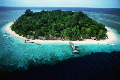 Sipadan, una isla diminuta del Borneo malayo, es la punta de un iceberg que esconde un paisaje submarino único de paredes casi verticales mundialmente famosas en el que es posible observar grandes especies bentónicas como tortugas, tiburones, tiburones martillo, mantas o enormes bancos de barracudas.