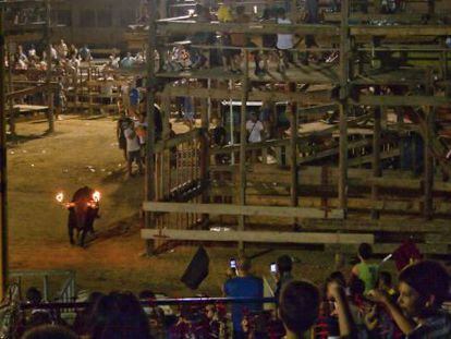 La festa del bou embolat a Deltebre el 2012.